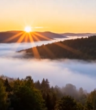 山林日出云雾自然景观4905#横屏 