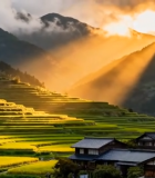 山间梯田与民居日落景象10800#横屏 