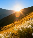 山间花草与落日风光11258#横屏 