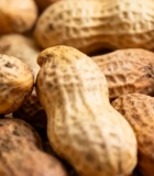 带壳花生特写素材11882#横屏 