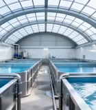 山顶云海自然风光10786#横屏 