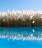 森林中散落的板栗2864#横屏 