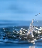 森林中戴头盔人物逆光剪影9472#横屏 