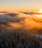 森林云海日出全景1518#横屏 