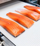 传送带上的三文鱼鱼片6142#横屏 