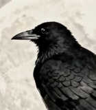 森林中红色卡车行驶扬起尘土14872#横屏 