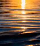 森林云海日出景观5829#横屏 