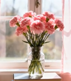 窗边花瓶内的粉色花卉6575#横屏 
