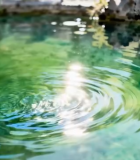 森林日落阳光洒落叶景象12561#横屏 