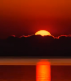 森林夕阳下的自然景观14085#横屏 