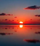 森林阳光穿透树木美景6792#横屏 