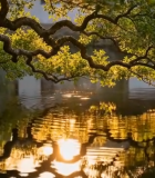 山地公路骑行第一视角10189#横屏 