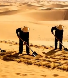 沙漠中人们用铁锹固沙2814#横屏 