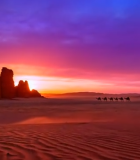 沙漠日落骆驼队与岩石景观13834#横屏 