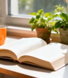 窗边桌上翻开的书籍与绿植1950#横屏 