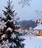 窗景中的雪景与圣诞树12691#横屏 