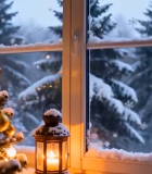 窗前装饰的圣诞树3015#横屏 