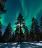 森林雪景中的极光景象11157#横屏 