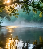 森林河流阳光清晨自然景观4011#横屏 