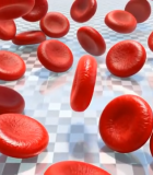 三维渲染血液细胞素材4611#横屏 