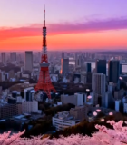日落时东京塔与樱花城市景观6591#横屏 