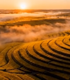 日出时分的梯田风光(1)3920#横屏 