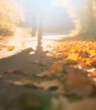 人在秋日森林中漫步2510#横屏 