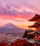 日本富士山旁古塔樱花美景3211#横屏 