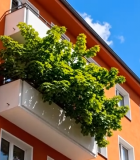 橙色居民楼阳台绿植景观1692#横屏 