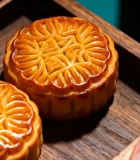 人体血管内部血液流动素材()10821#横屏 