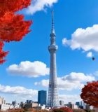 秋天城市中红叶黄叶与高塔景观3906#横屏 