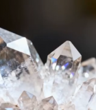 秋日阳光下的银杏树13265#横屏 