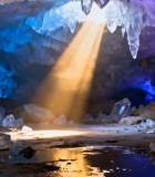 秋日树林中情侣漫步素材4497#横屏 