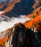 秋日山间云海红叶景观6528#横屏 