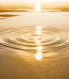 秋季户外南瓜灯特写4528#横屏 