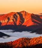 秋日山脉森林自然风光6996#横屏 