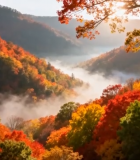 秋日山林晨雾红叶景观5300#横屏 