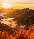 秋日山谷日出自然风光7521#横屏 
