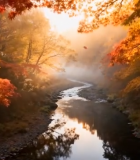 秋日溪边枫叶自然风光(1)5805#横屏 
