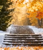 秋日森林积雪台阶风景11755#横屏 