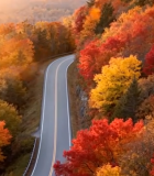 秋日森林间蜿蜒公路14532#横屏 
