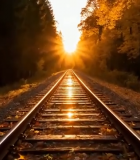 秋日森林铁路落日景象10579#横屏 