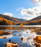 秋日湖面落叶风景8177#横屏 