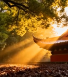 秋日古建筑阳光洒落场景169#横屏 