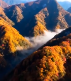 秋季山脉森林云海景观11866#横屏 