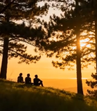 三人于树林中赏日落13742#横屏 