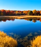 秋季自然风光湖泊与多彩树林6510#横屏 