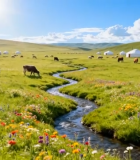 	 草原牧场景色与牛羊2820#横屏 