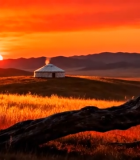 草原日落枯木与蒙古包景色6945#横屏 