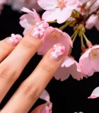 樱花背景下的美甲特写2447#横屏 